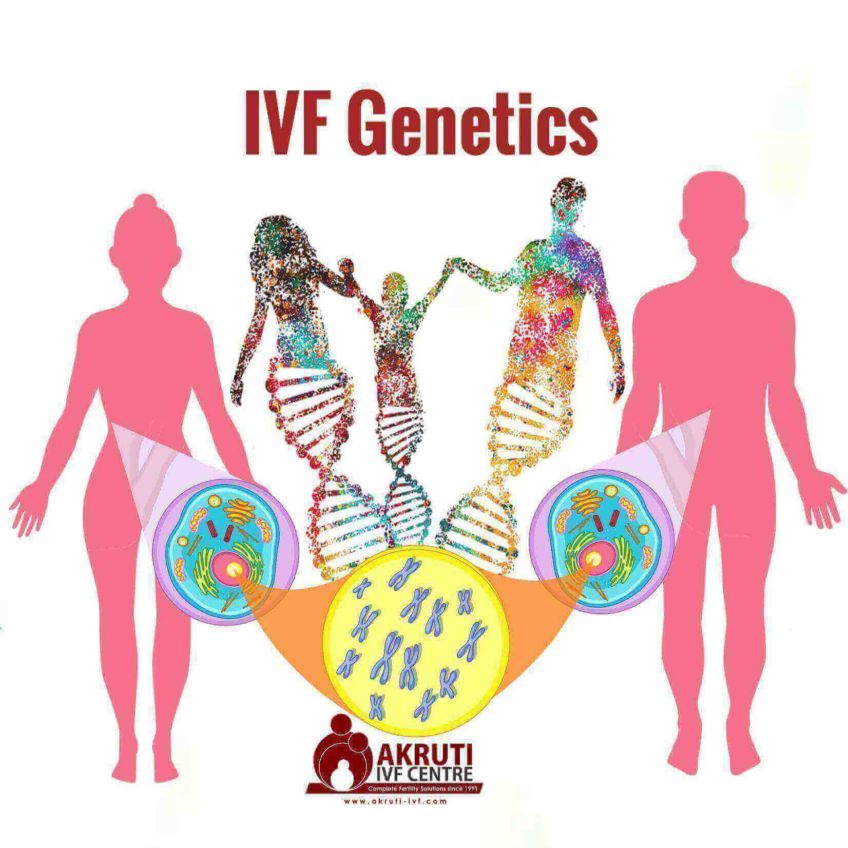 Genetic Counseling And Ivf:  The Key To A Stress Free Fertility Journey - s8207eh