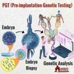 PGT Preimplantation Genetic Testing