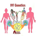 IVF genetic counseling for healthy baby